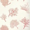 Select Colour Code Variant: Coral on White T6867