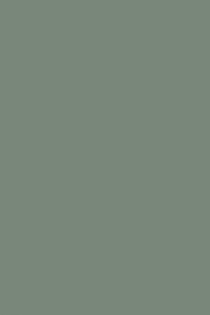 Farrow and Ball Castle Gray No. 92 Paint | Alexander Interiors,Designer ...